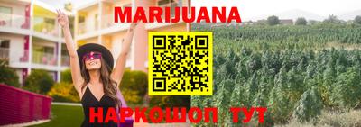 гашик Будённовск