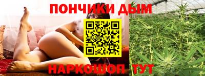гашик Будённовск