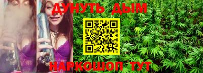 гашик Будённовск