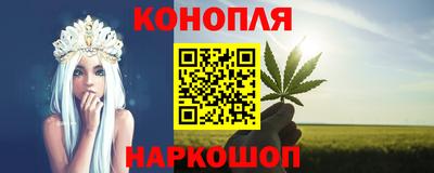 гашик Будённовск