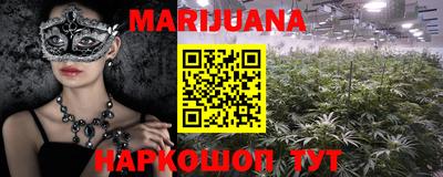 гашик Будённовск