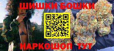 гашик Будённовск