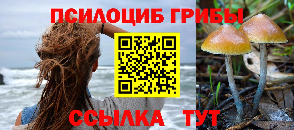 Заринск  Псилоцибиновые грибы MAGIC MUSHROOMS  Галлюциногенные грибы мицелий  Вход с VPN 